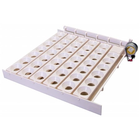 Reincarnation Automatic Egg Turner RE84008